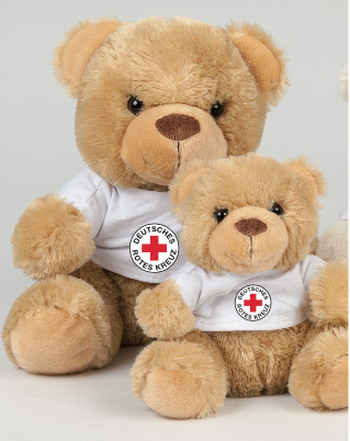 Teddy mit T-Shirt
